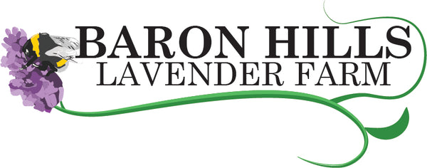 Baron Hill Lavender Farm