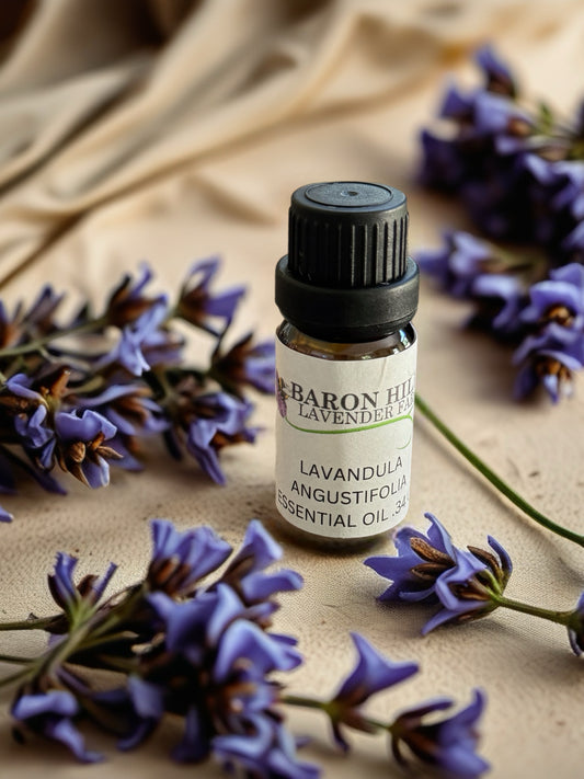 Lavender Oil